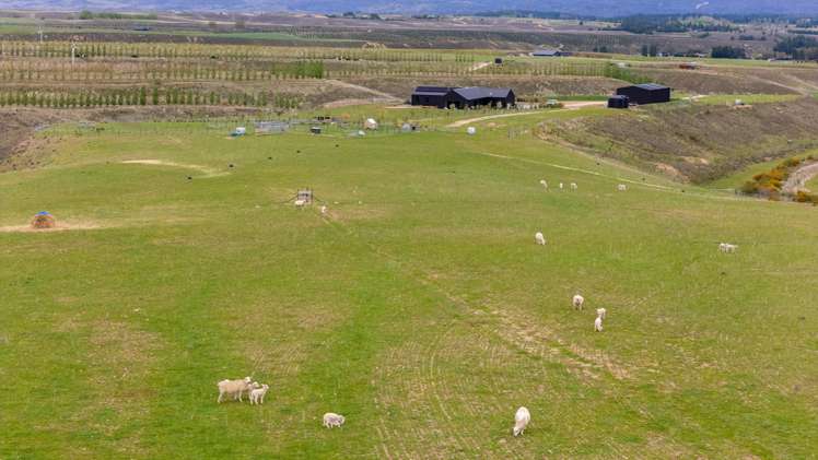 39 Kordia Way Waikerikeri_29