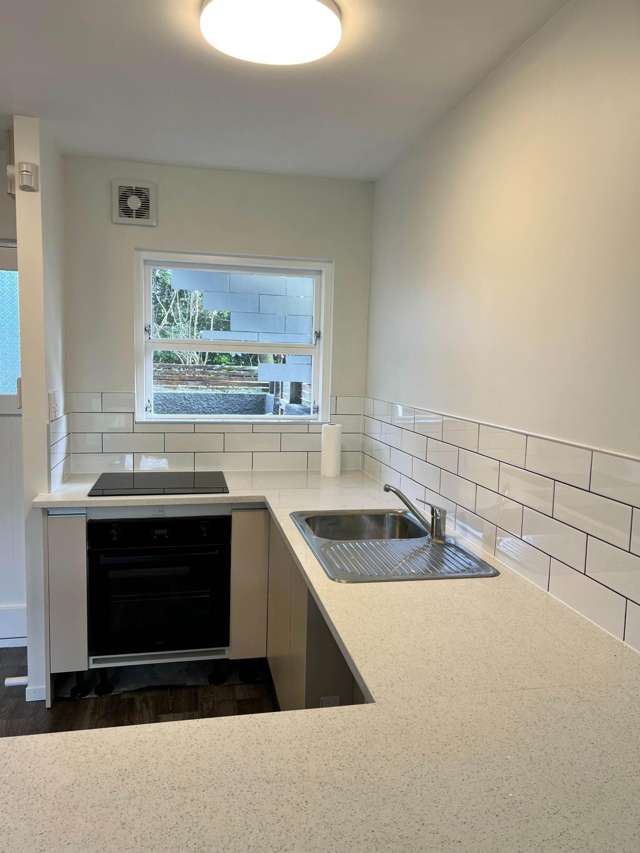 2/2 Mountain View Road Western Springs_4