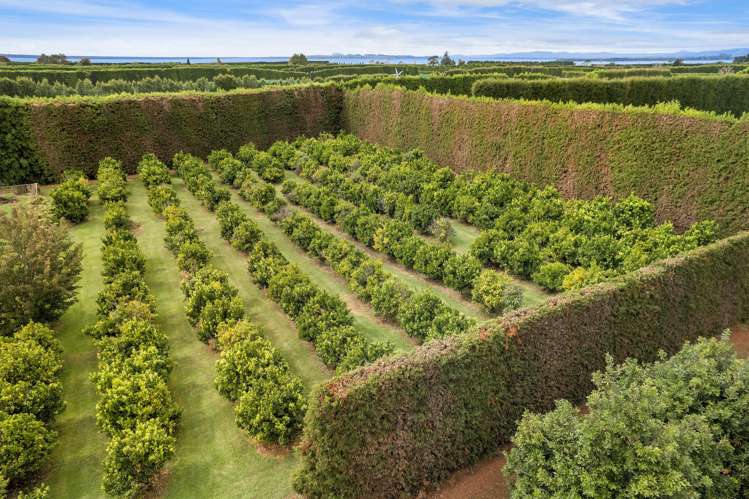 92 Pukakura Road Katikati_24