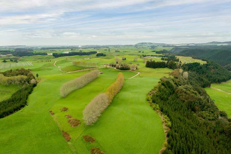 936 Pongakawa Bush Road Pongakawa_7