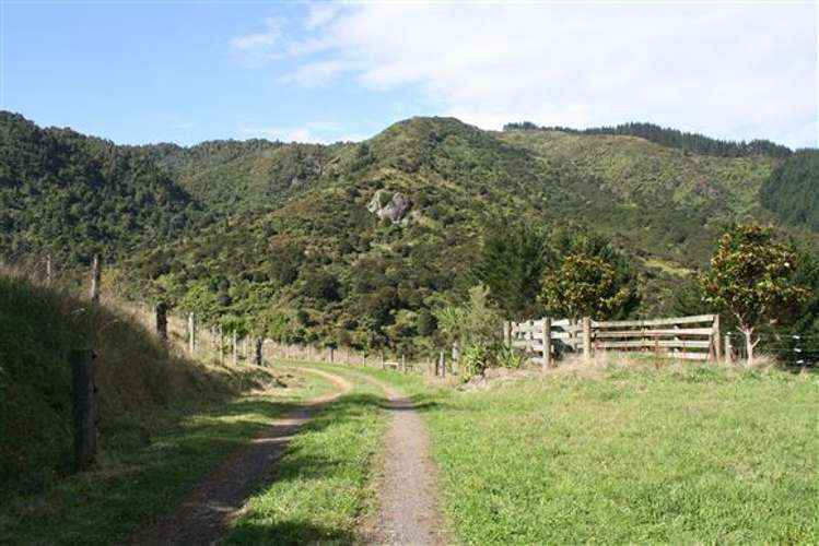 560 Neavesville Road Puriri_8