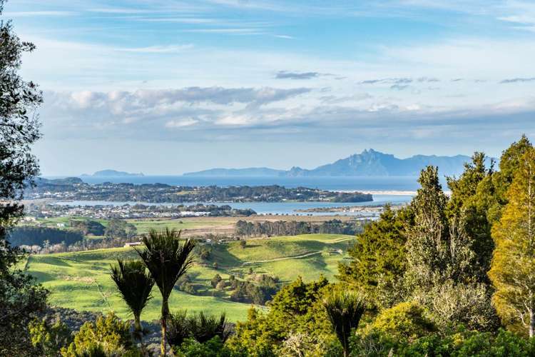 Lots 1 & 2 Carters Road West Mangawhai_4