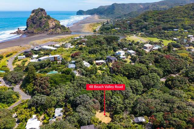48 Beach Valley Road Piha_1