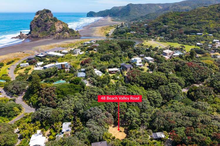 48 Beach Valley Road Piha_1