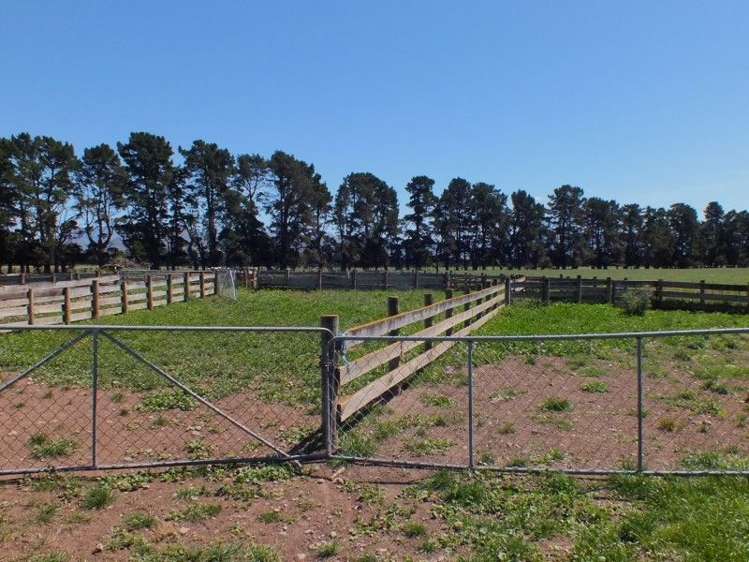 55 Costellos Road Hawarden_19