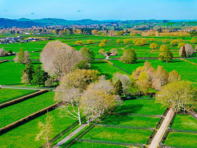 122 Rotoorangi Road Cambridge_39