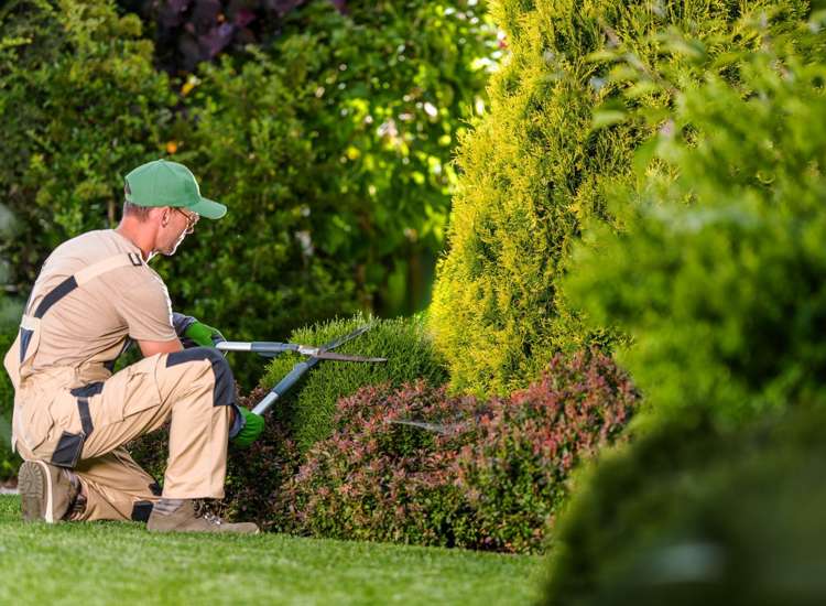 Address withheld Otago_2