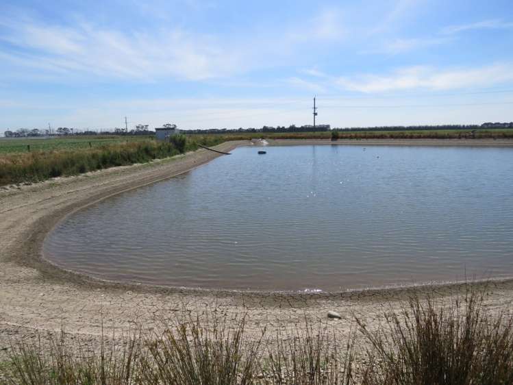 524 Rules Road Pendarves_2