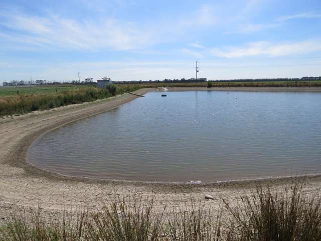 524 Rules Road Pendarves_2