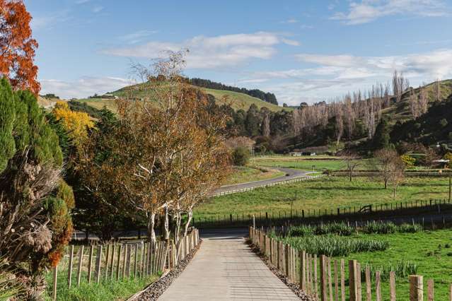 164 Hill Road Eskdale_4