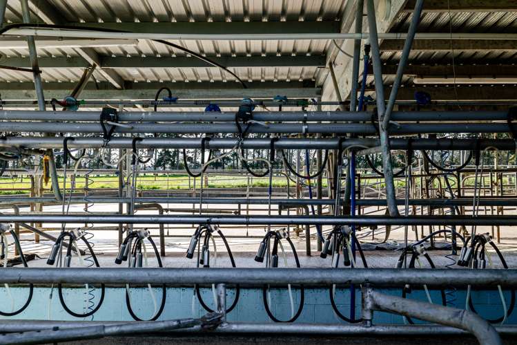 1040 Roberts Line Bunnythorpe_49