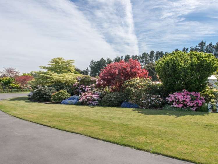 92 Rundles Road Allenton_4