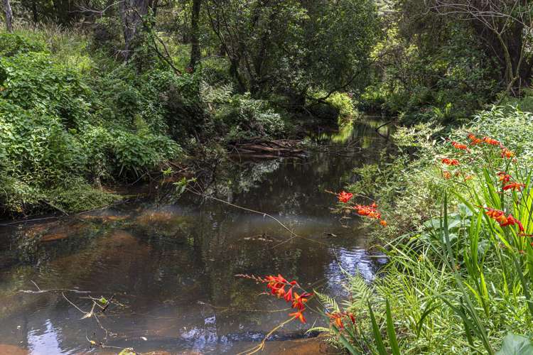 726d Ngunguru Ford Road Kiripaka_18