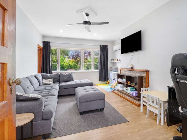 21 Rangiora Avenue Roslyn_3