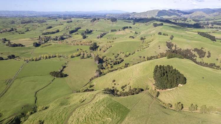 72 Te Hau Road Masterton_21