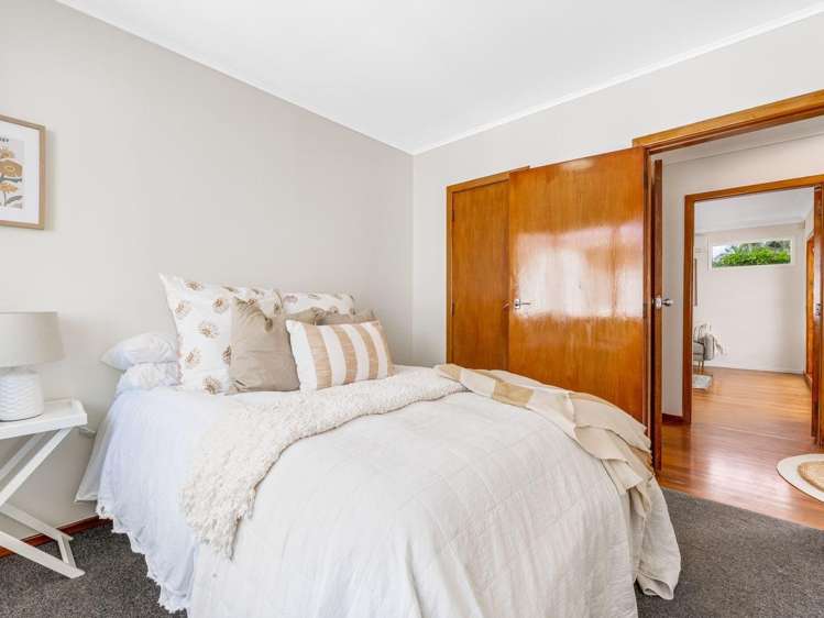 207 Sturges Road 11401_8