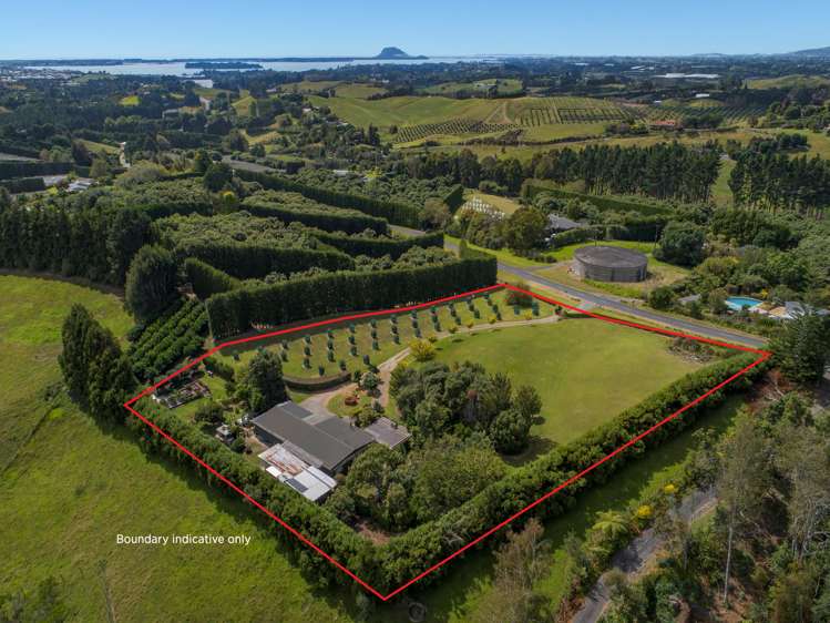 84 Plummer Road Whakamarama_26
