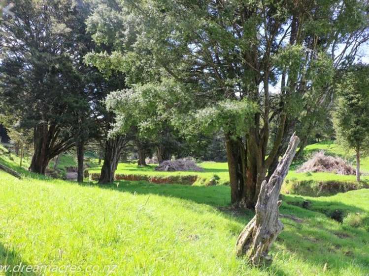 242 Owae Road Russell Surrounds_17