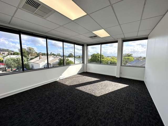 Suite 2/172 Ponsonby Road Ponsonby_4