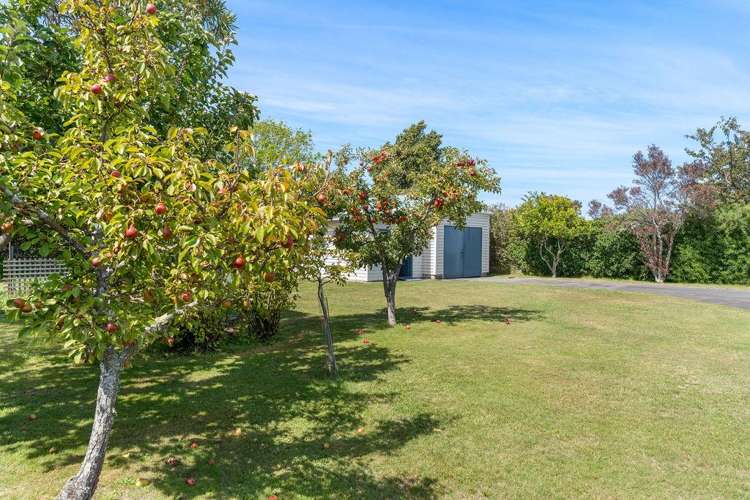 11 Strasbourge Street Martinborough_15