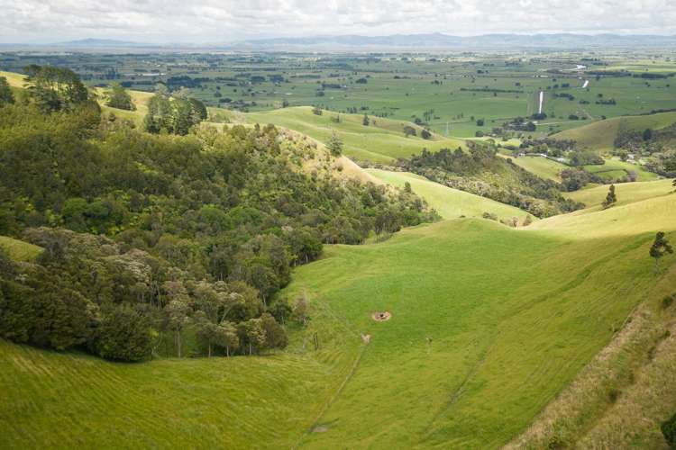 222 Strange Road Paeroa_4