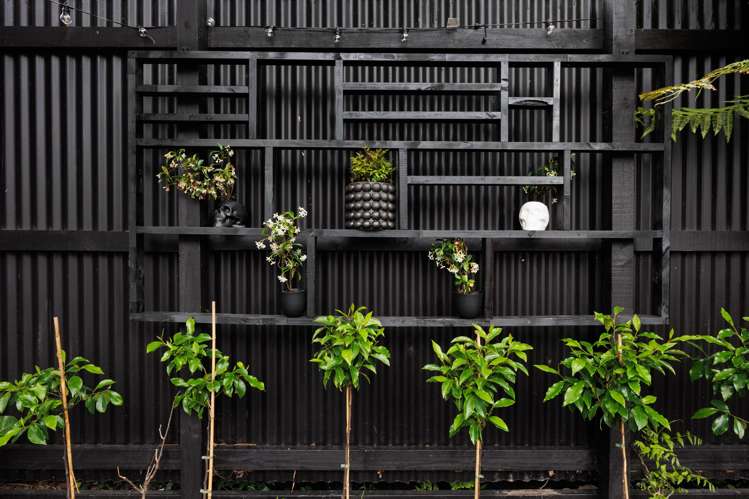 41 Manuka Street Hokowhitu_19