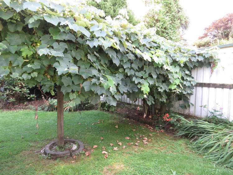 29 Campbell Street Taumarunui_9