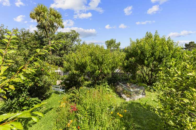 27 Norrie Avenue Raglan_13