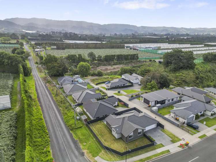 77 Tynan Street Te Puke_16