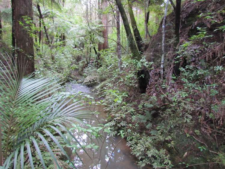 227 Mangahui Road Whareora_7