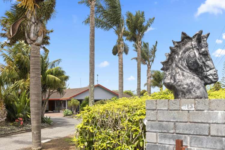 33 Jamieson Road Buckland_23