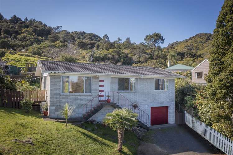 100 Mill Street Thames_1