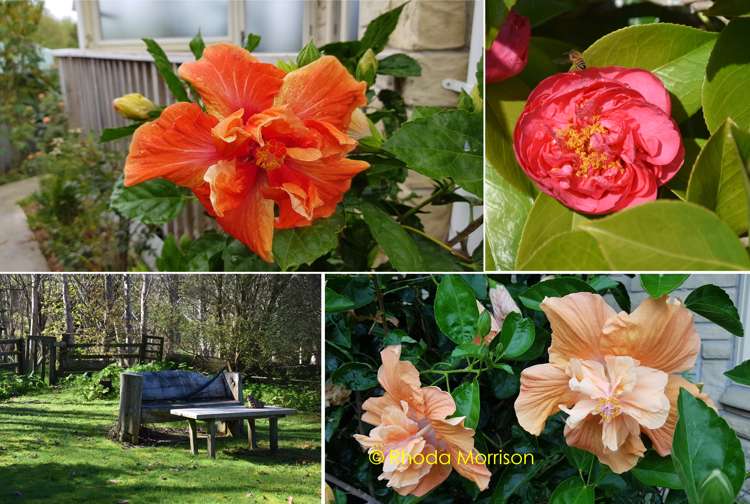 229 Pahi Road Paparoa_24