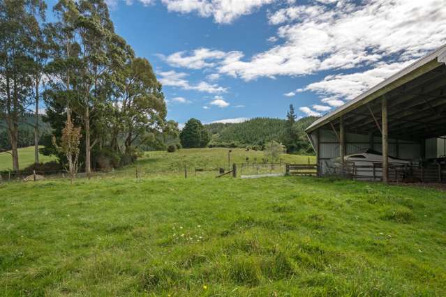 64 Hills Road Rai Valley_4