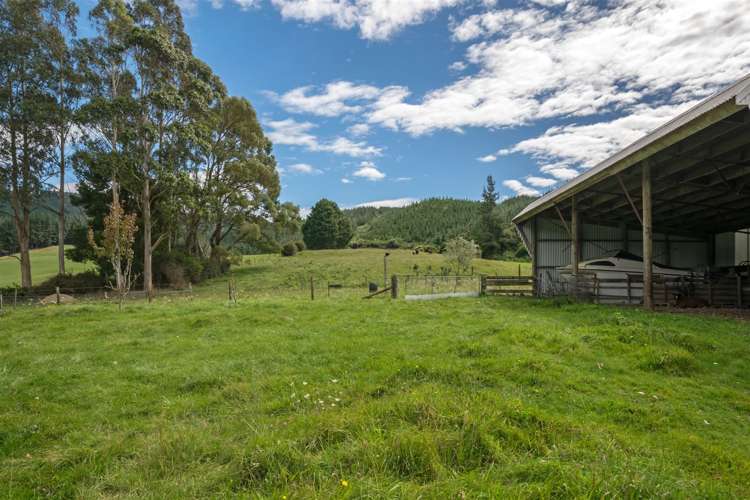 64 Hills Road Rai Valley_4