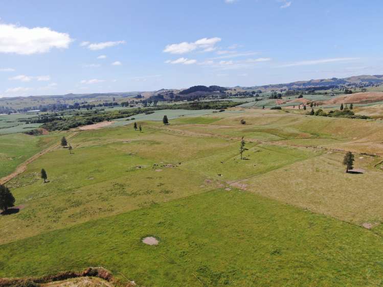 Kahuwera Road Piopio_5