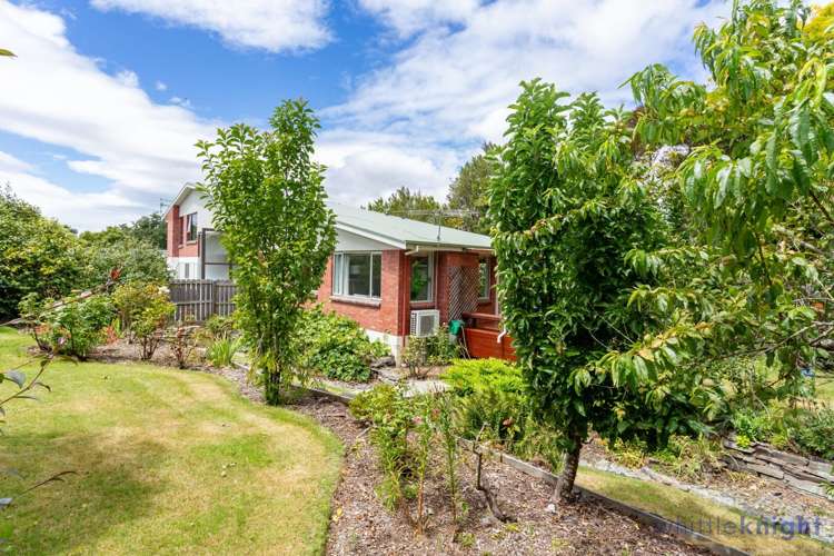 339b Avonhead Road Avonhead_4