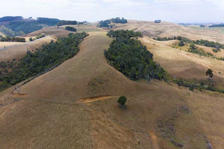 1149 Waikaretu Valley Road Waikaretu_14