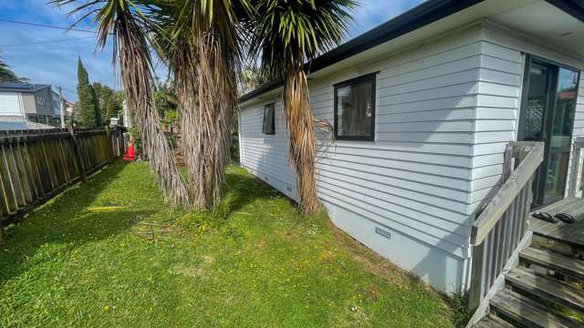 23A Tomo Street New Lynn_1