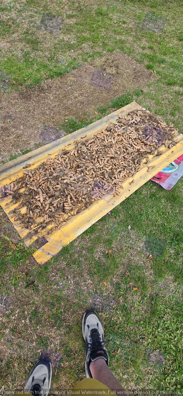 Address withheld Labasa_12