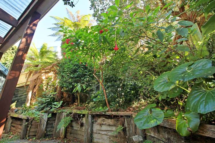 139B Bassett Road Remuera_6