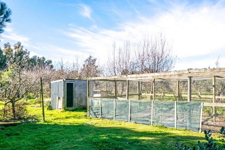 33 Neal Road Rarangi_21