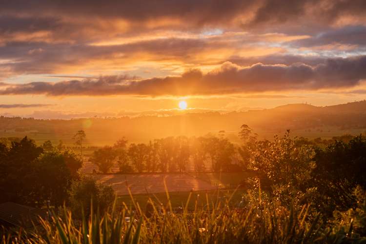 254a Crane Road Kauri_26