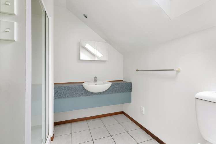 122a Hobart Street Miramar_12