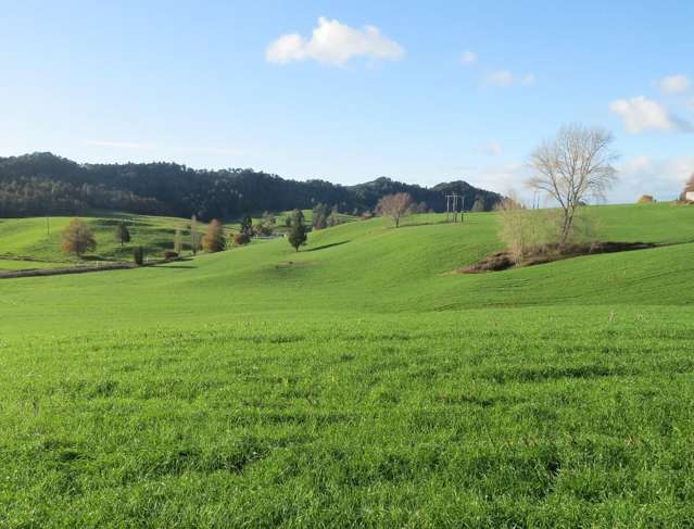 Waitomo Caves Road Waitomo_1