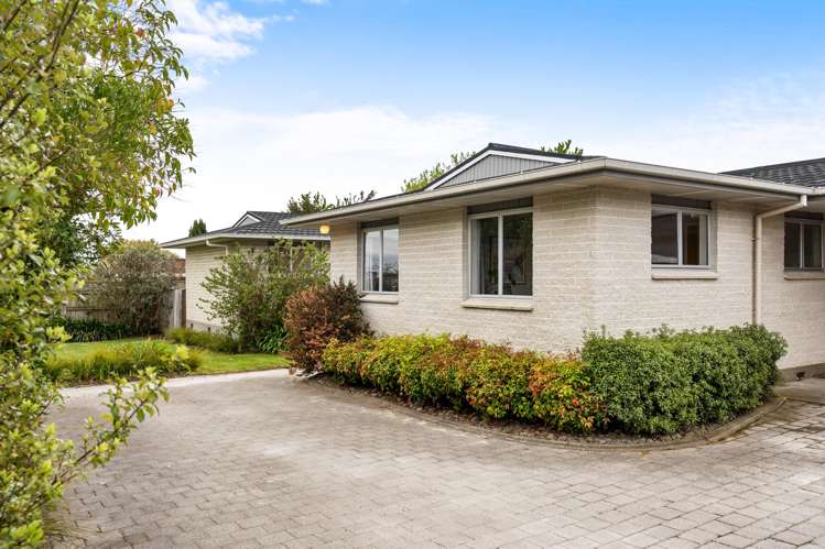 37 James Cook Street Havelock North_15
