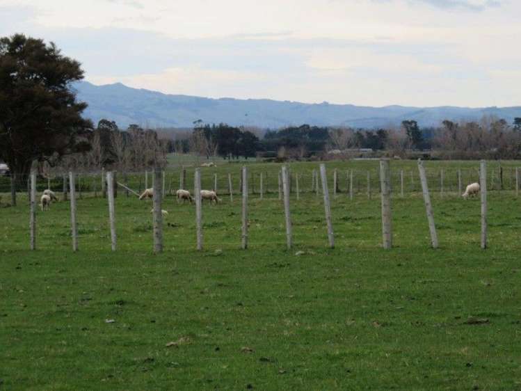 769 State Highway 2 Opaki_11