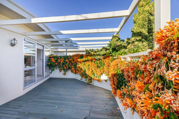 104 Freyberg Avenue Tamatea_21