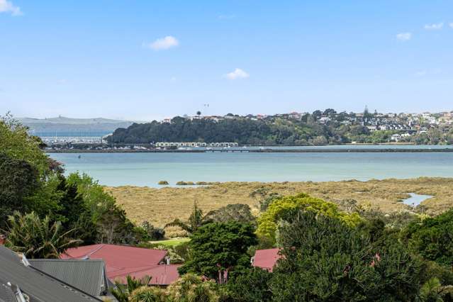 131 Bassett Road Remuera_2