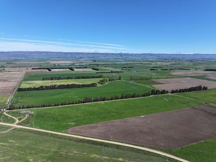 315 Patearoa Ranfurly Road Patearoa_2